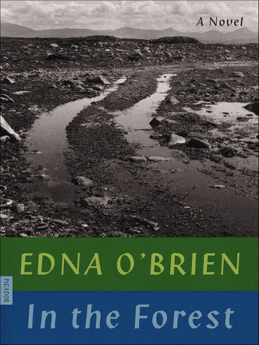 Cover image for In the Forest